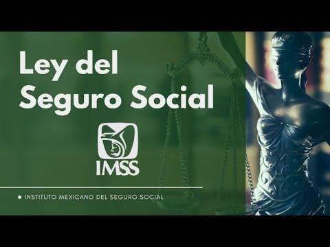 Puntos Esenciales de la Ley del Seguro Social en México: Todo lo que Necesitas Saber